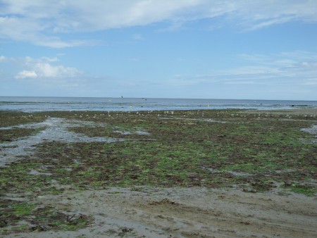 86.a - Grand Camp Maisy, bassa marea